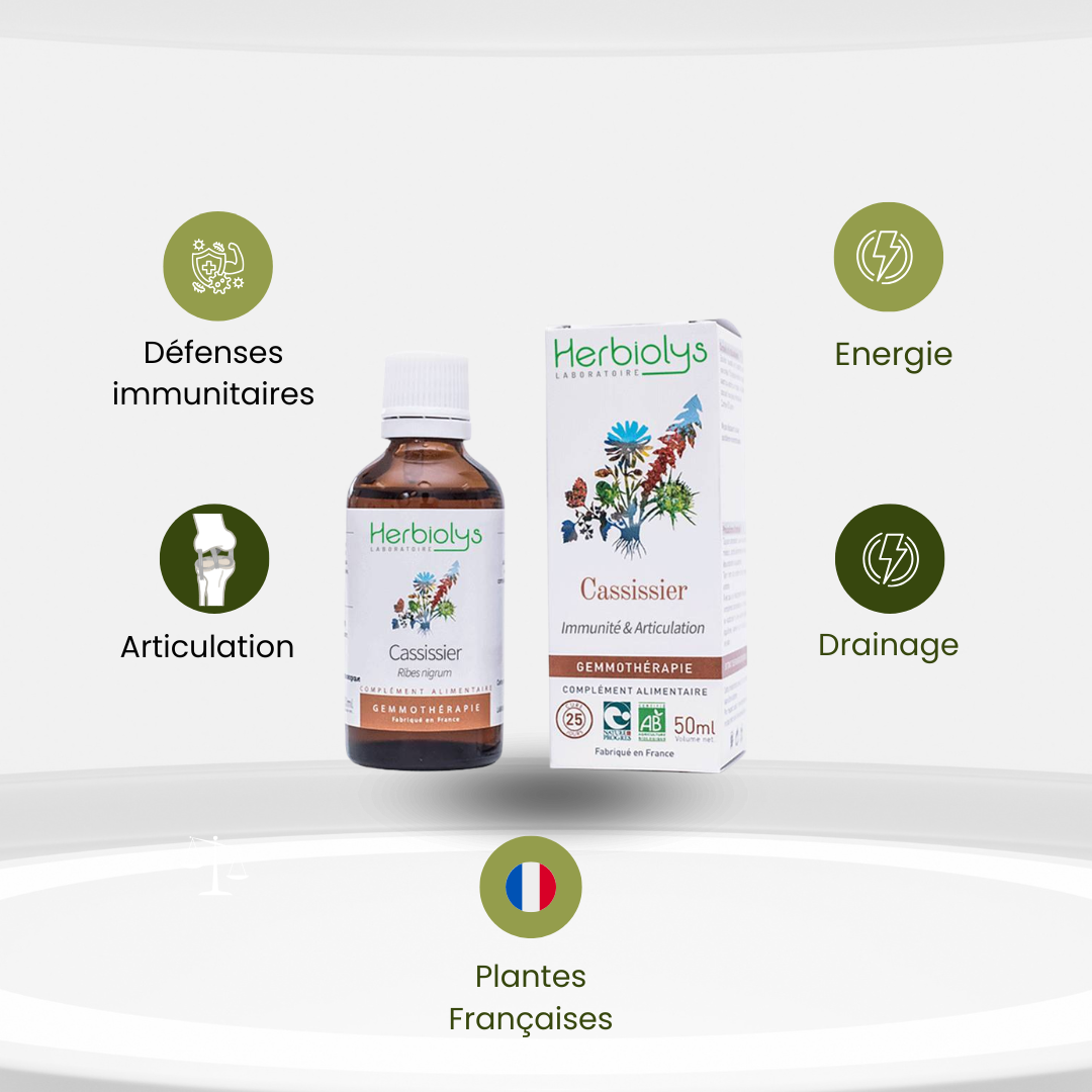 Bourgeons de Cassissier Bio – Vitalité, Défenses & Confort Articulaire - Herbiolys