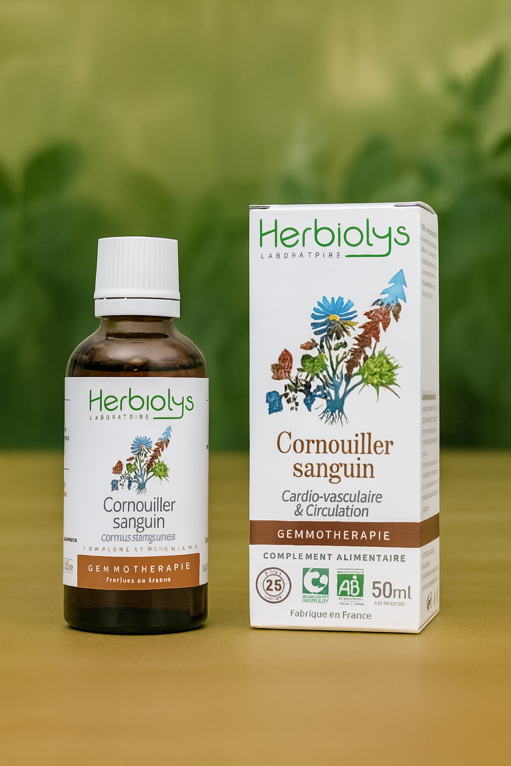 Cornouiller sanguin - Bourgeon Bio - Système Cardio vasculaire - Gemmothérapie Herbioloys