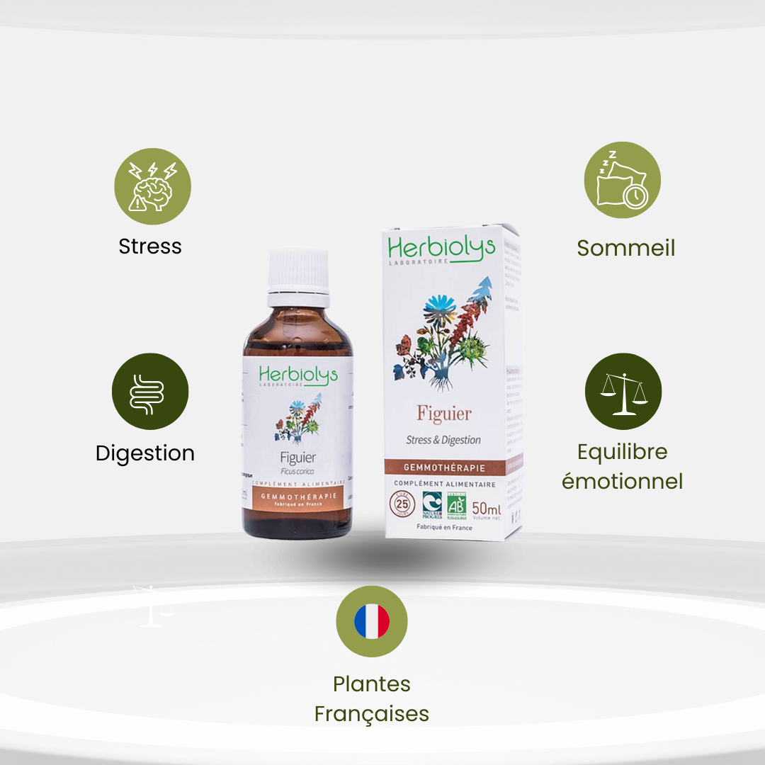 Bourgeons de Figuier Bio – Stress, Sommeil & Confort Digestif - Herbiolys