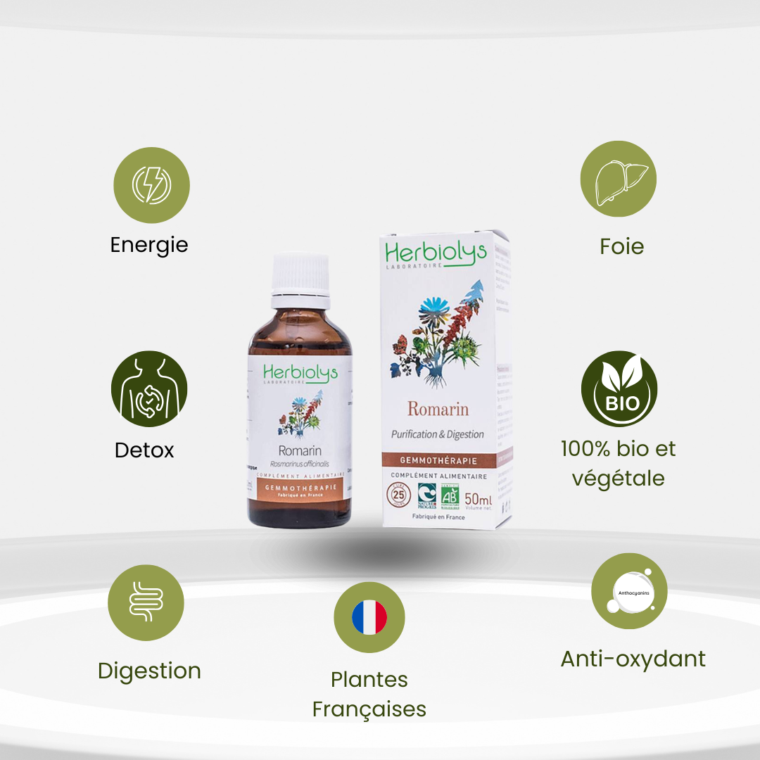 Bourgeons de Romarin Bio – Détox Foie & Énergie Naturelle - Herbiolys
