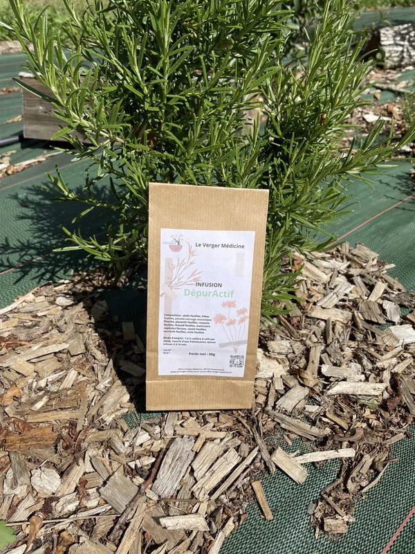 Depuractif - Tisane - Verger Médicine