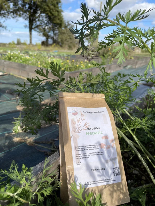 Hepatic - Tisane - Verger Medicine