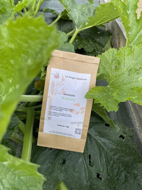 Kidney - Tisane - Verger Medicine