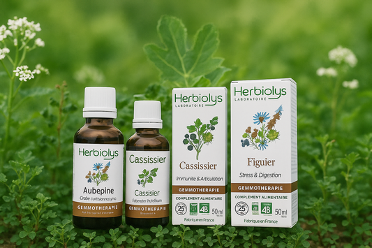 La Gemmothérapie : L’intelligence des bourgeons au service de la santé naturelle