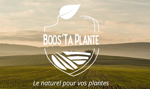 🌱 Boost ta Plante au printemps - Pourquoi choisir chaque produit Boost ta Plante ?