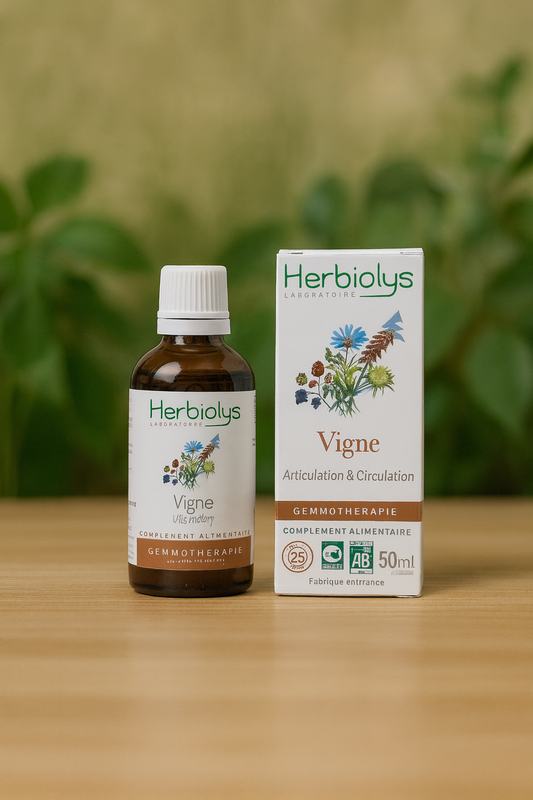 Vigne - Bourgeon Bio - Inflammations et Articulations - Gemmothérapie Herbiolys