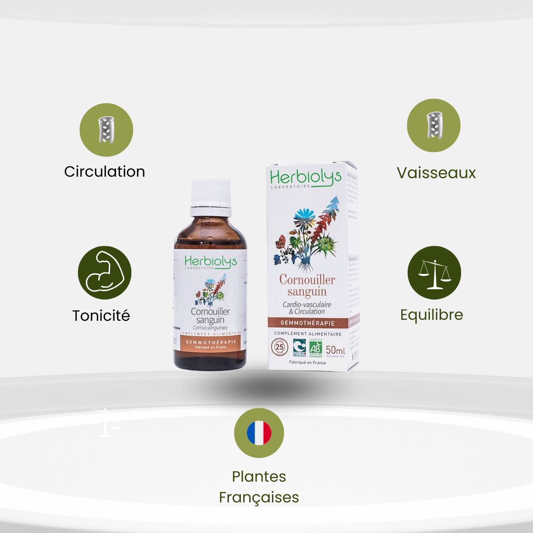 Bourgeons de Cornouiller Sanguin Bio – Circulation & Tonicité Vasculaire - Herbiolys