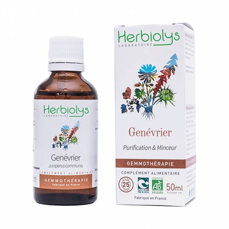 Genévrier - Bourgeon Bio - Gemmothérapie Herbiolys