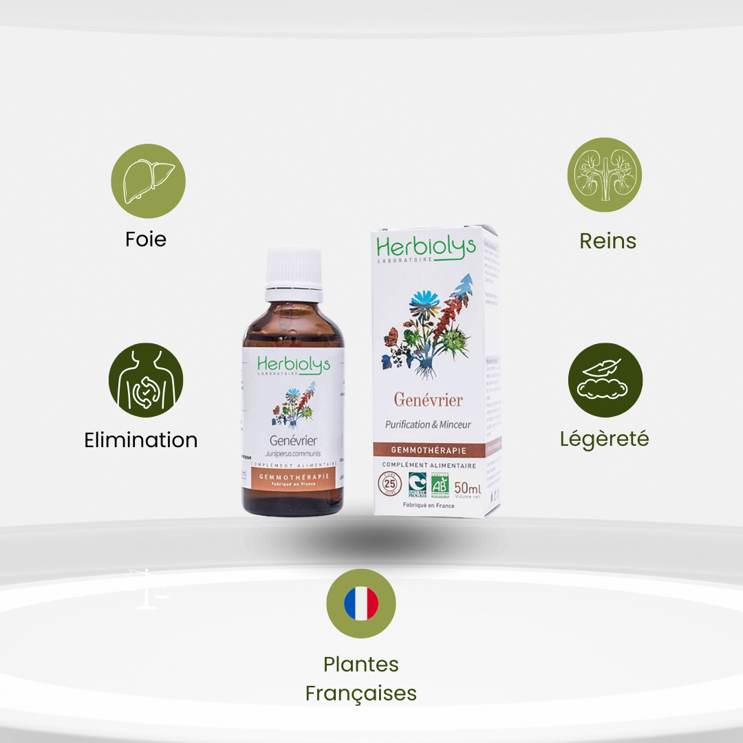 Bourgeons de Genévrier Bio – Drainage & Détox Naturelle - Herbiolys