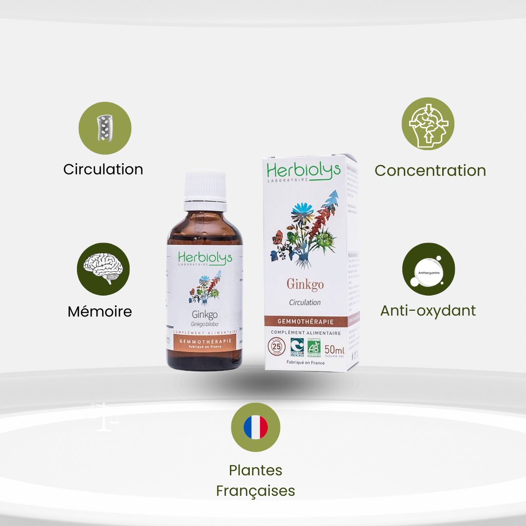 Bourgeons de Ginkgo Bio – Concentration, Mémoire & Microcirculation - Herbiolys