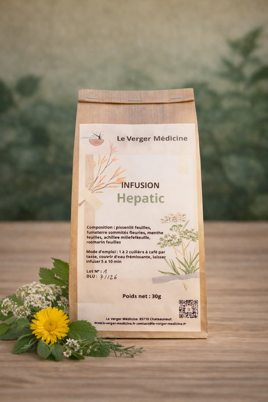Hepatic - Tisane - Verger Medicine