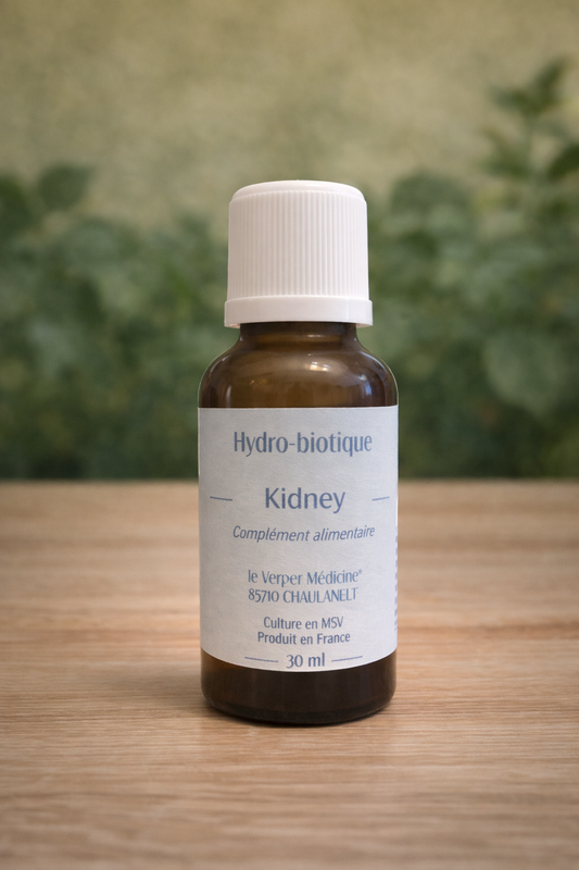 Kidney Hydro-Biotique – Soutien de la Sphère Rénale & Élimination Naturelle - Verger Medicine