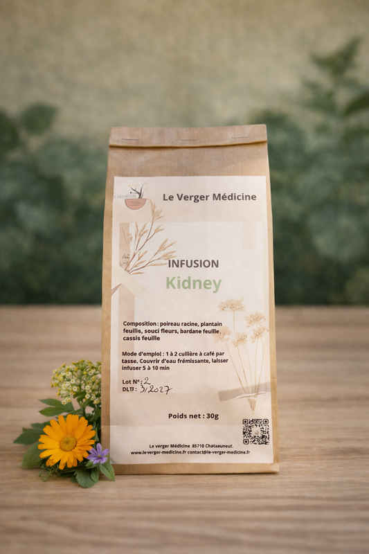 Kidney - Tisane - Verger Medicine