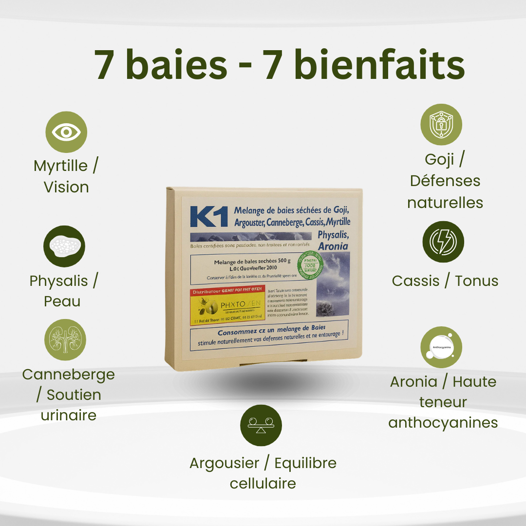 Mélange K1 Bio – 7 Baies Antioxydantes pour Énergie, Défenses & Équilibre | Phytozen