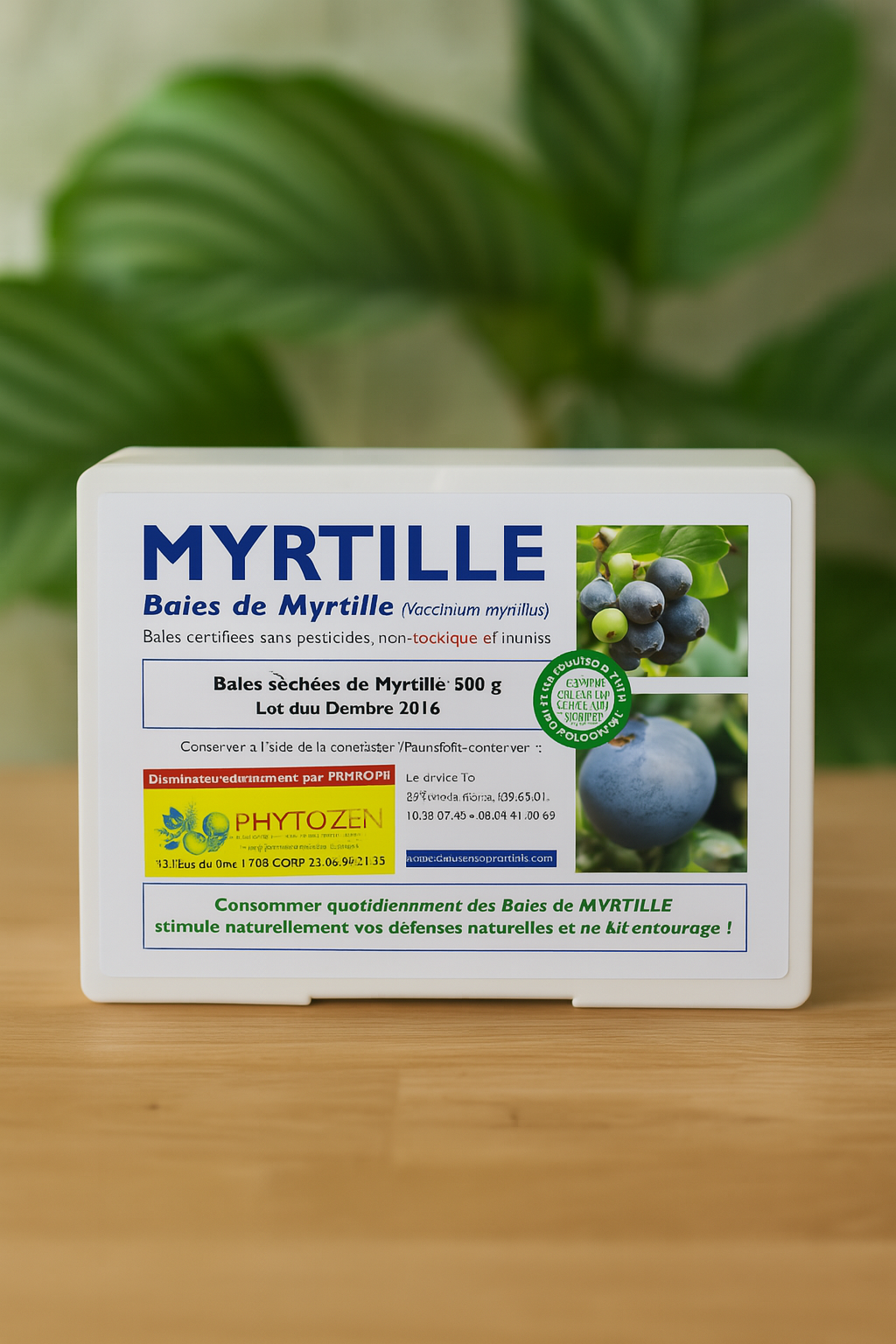 Baies de Myrtilles - Santé des yeux et cellules - Bio - Phytozen