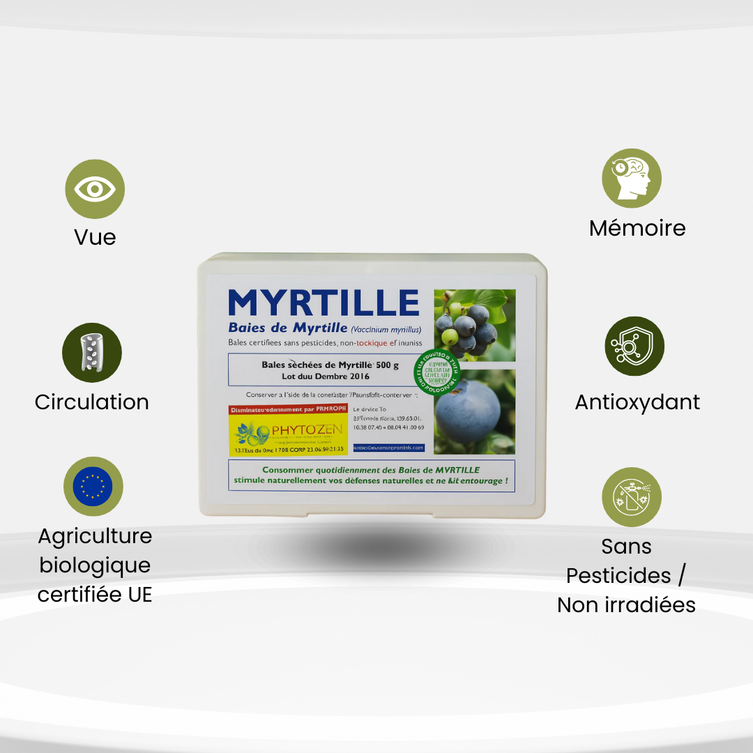 Baies de Myrtille Bio – Santé Oculaire, Antioxydants & Mémoire | Phytozen