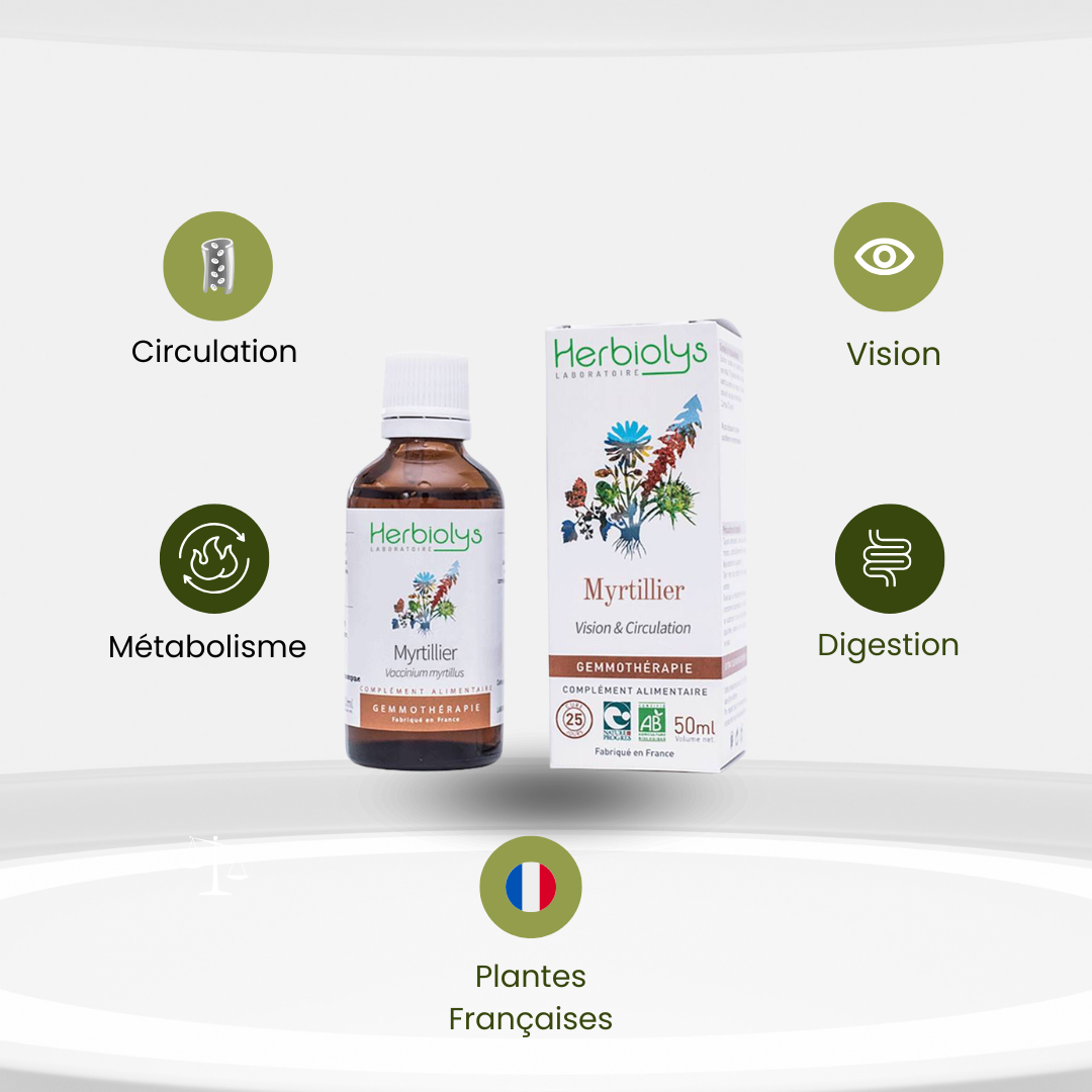 Bourgeons de Myrtillier Bio – Microcirculation, Vision & Équilibre Métabolique - Herbiolys