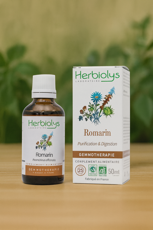 Romarin - Bourgeon Bio - Détoxifier et protéger - Gemmothérapie Herbiolys