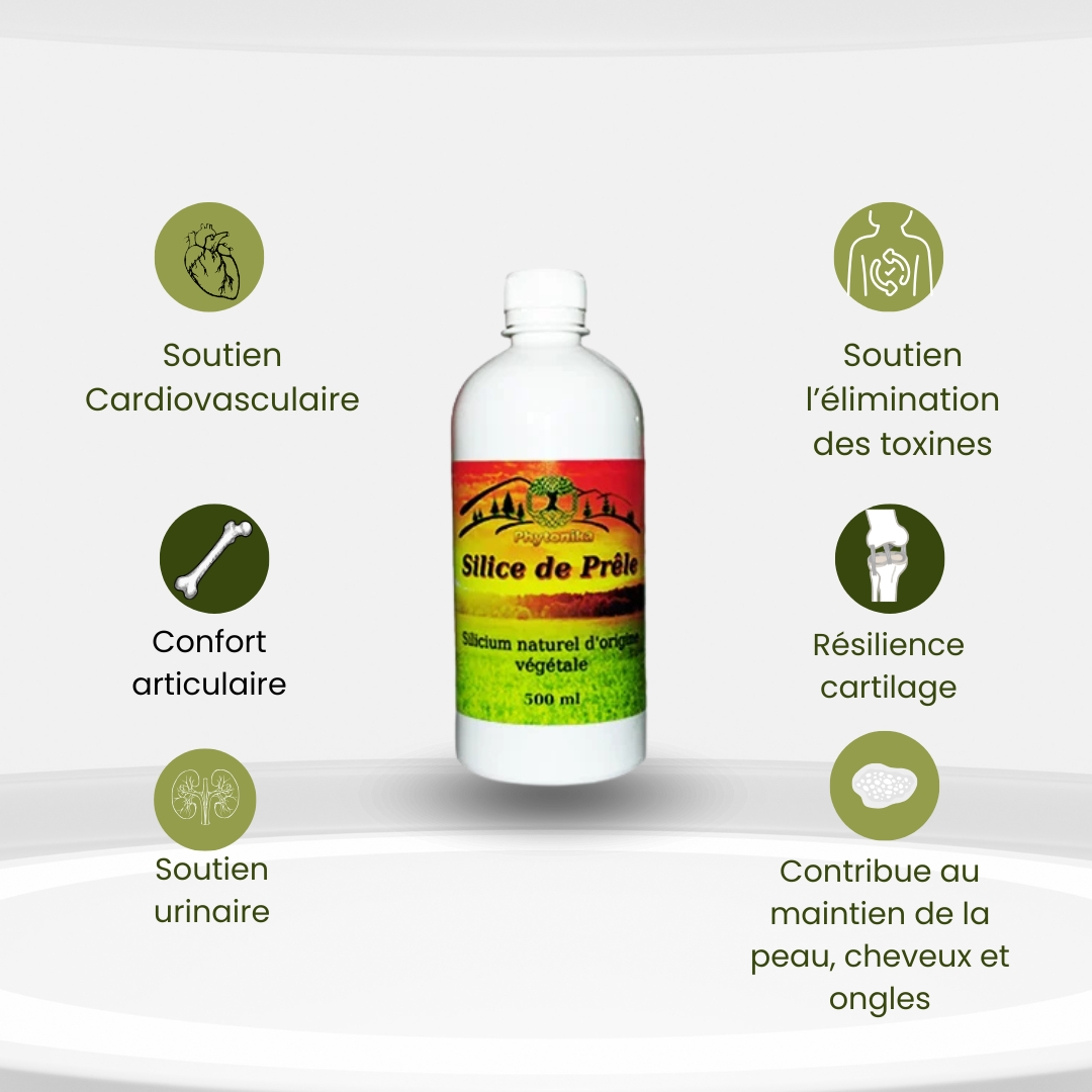 Silice de Prêle Bio – Articulations, Os, Peau - Silicium organique végétal – Phytonika