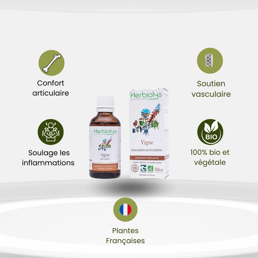 Bourgeons de Vigne Bio – Articulations, Inflammations & Confort Digestif - Herbiolys